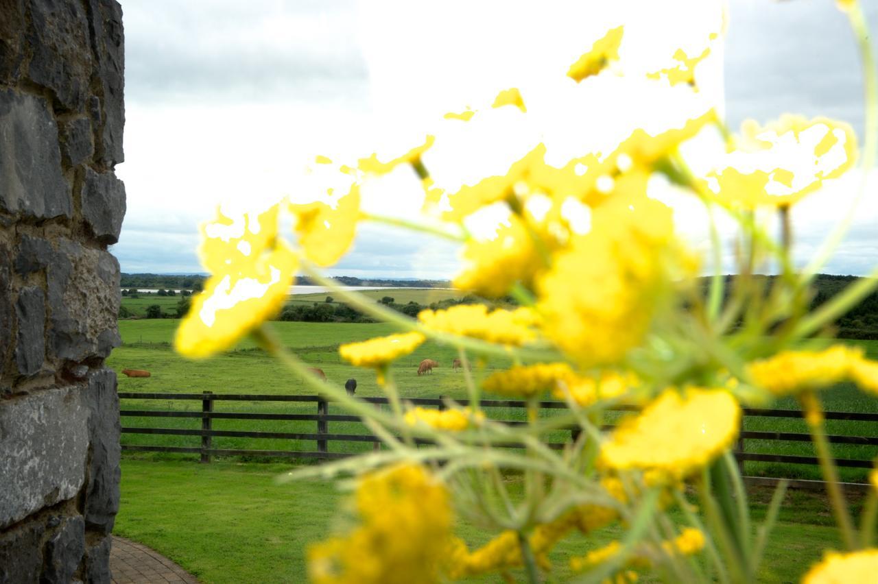 Bunratty Meadows Bed & Breakfast المظهر الخارجي الصورة