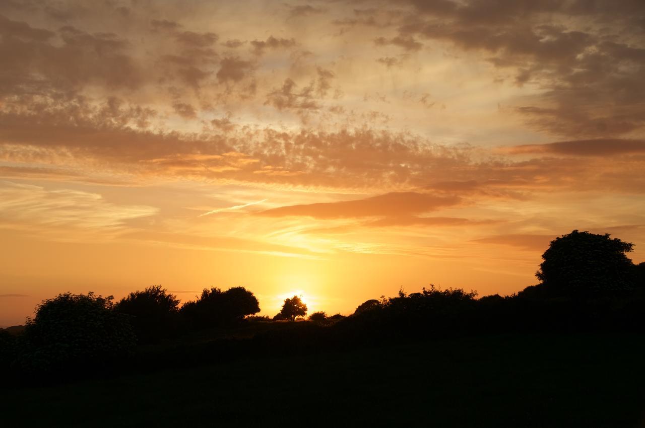 Bunratty Meadows Bed & Breakfast المظهر الخارجي الصورة